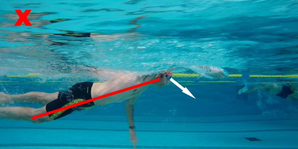 brazadas-comunes-de-natacion Brazadas comunes de natación